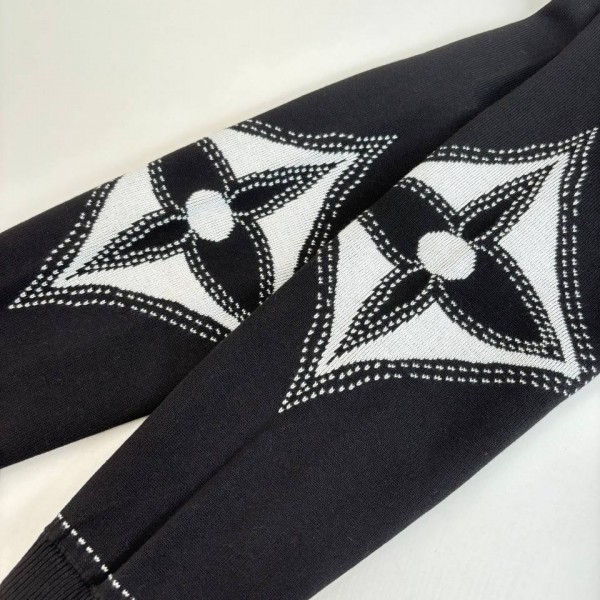 Louis Vuitton Logo Hoodie 5