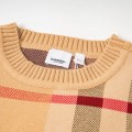 Burberry Check Sweatshirt 2